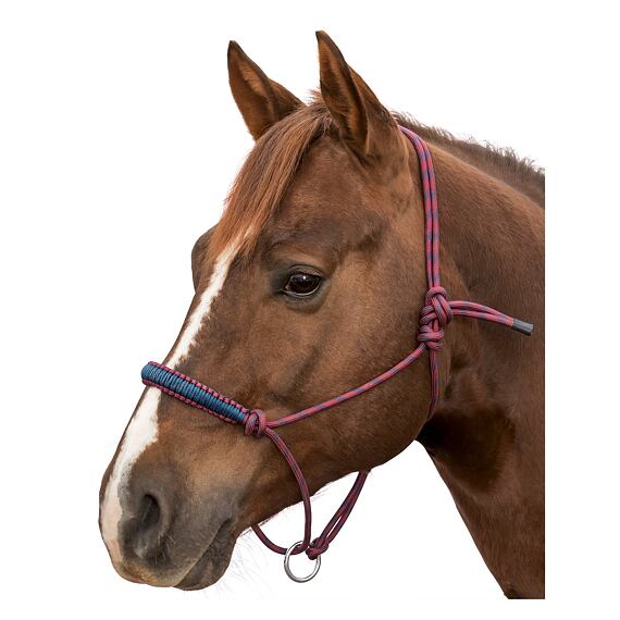 Ohlávka provazová LproWest Bicolor, bordó-modrá