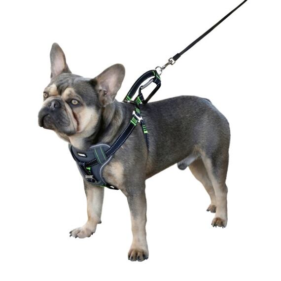 Harness biztonsági kutyahám, fekete