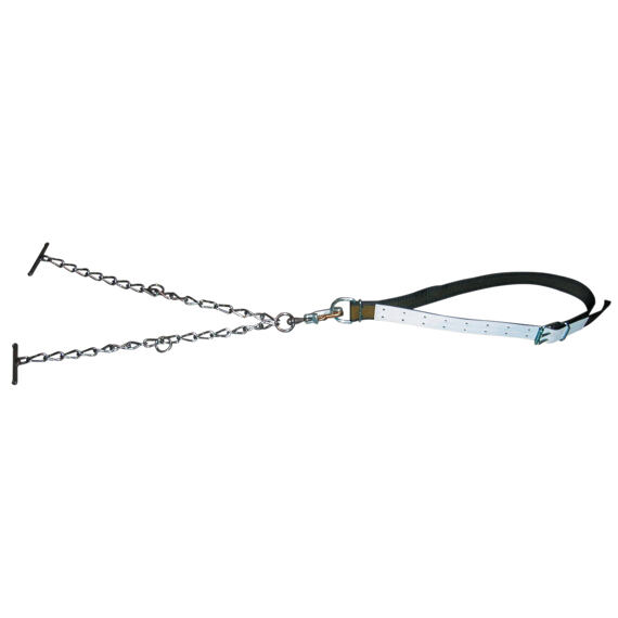 Obojek pro býky s D-článkem, obrtlíkem a řetězem