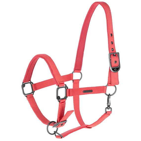 Ohlávka Covalliero S/S 2025, korálová