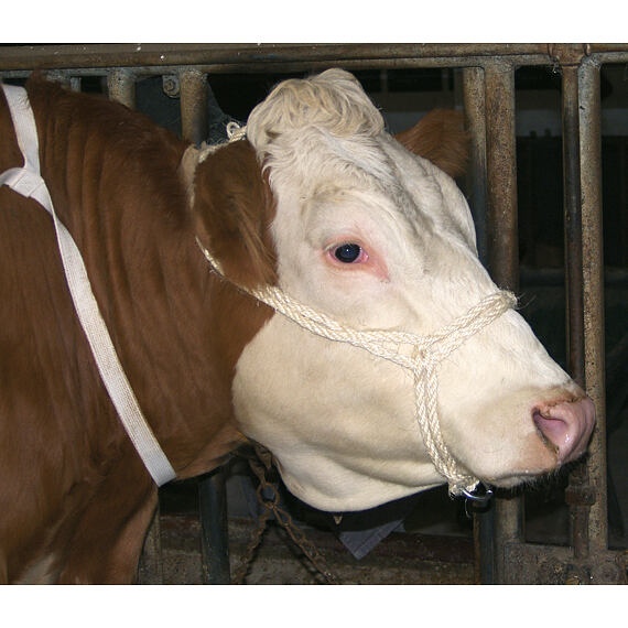 Vazák sisal s dvojitým kroužkem, 7x35