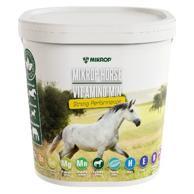 Vit.Amino.Min Strong