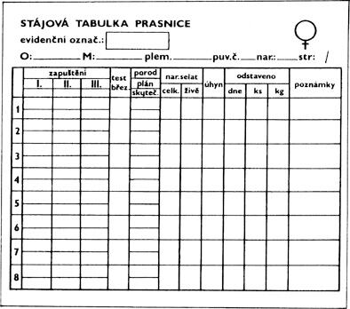 Stájová tabulka pro prasnice