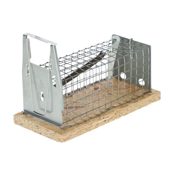 Pastička sklopná na myši Mouse Trap Alive 12 x 5,5 x 5,5 cm