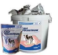Calf VOLOSTRUM