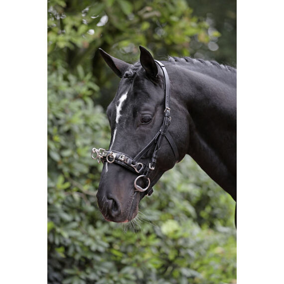 Uzdečka kombinovaná s obnoskem Covalliero Exclusive, černá, vel. Full