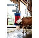 Elektrické drbadlo pro skot HappyCow MaxiSwing