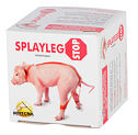 Pouta na nohy pro selata SPLAYLEGSTOP