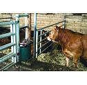 Suevia fűtött ivókút 41A modell -25°C