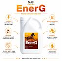 EnerG vasalóval a maximális energiafelhasználásért, 2 l