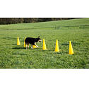 Set agility překážek pro psy, žlutý