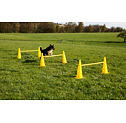 Set agility překážek pro psy, žlutý