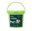 Root & Snoot Pulmoran légzőszervi eledel lovaknak 1 kg