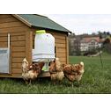 Chytrá napáječka pro kurník pro slepice SmartCoop