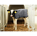 Deka pro telata Ripstopp