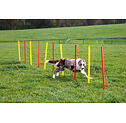 Agility překážky pro psy set 3 ks, červená/žlutá