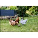 PoultryNet Prémium baromfiháló, vezetőképes, magasság 122 cm, hossza 50 m, dupla tüskés, zöld