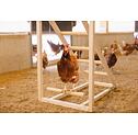 Dřevěná věž s houpačkou pro drůbež, 85 x 55 x 76 cm