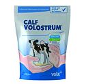 Calf VOLOSTRUM