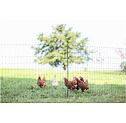 PoultryNet Prémium baromfiháló, vezetőképes, magasság 122 cm, hossza 50 m, dupla tüskés, zöld